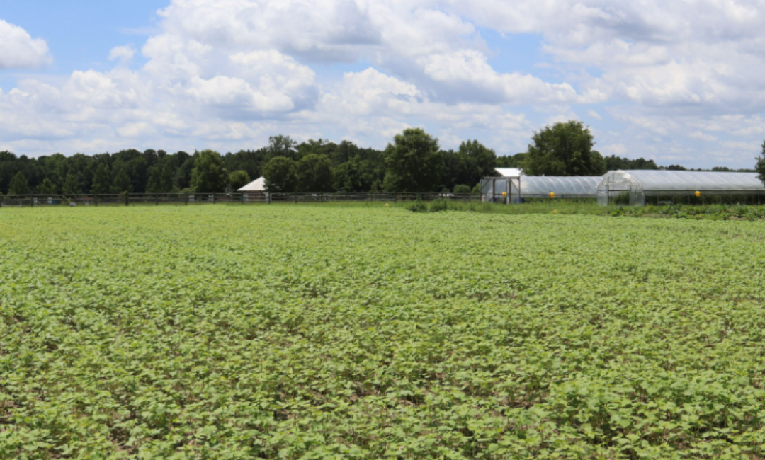 Empowering Communities through the John Deere Foundation