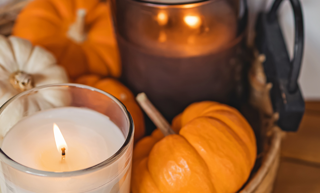 A Season of Gratitude: Thank You for Supporting Our Mission