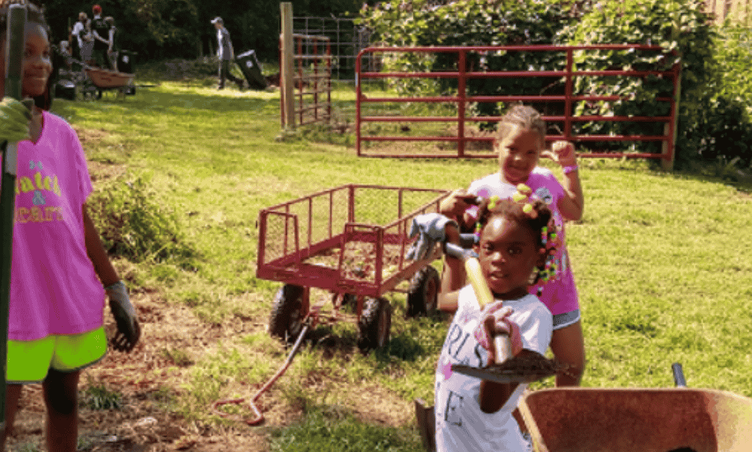 Partnering with Publix Super Markets Charities to Support Hunger Relief and Nutrition