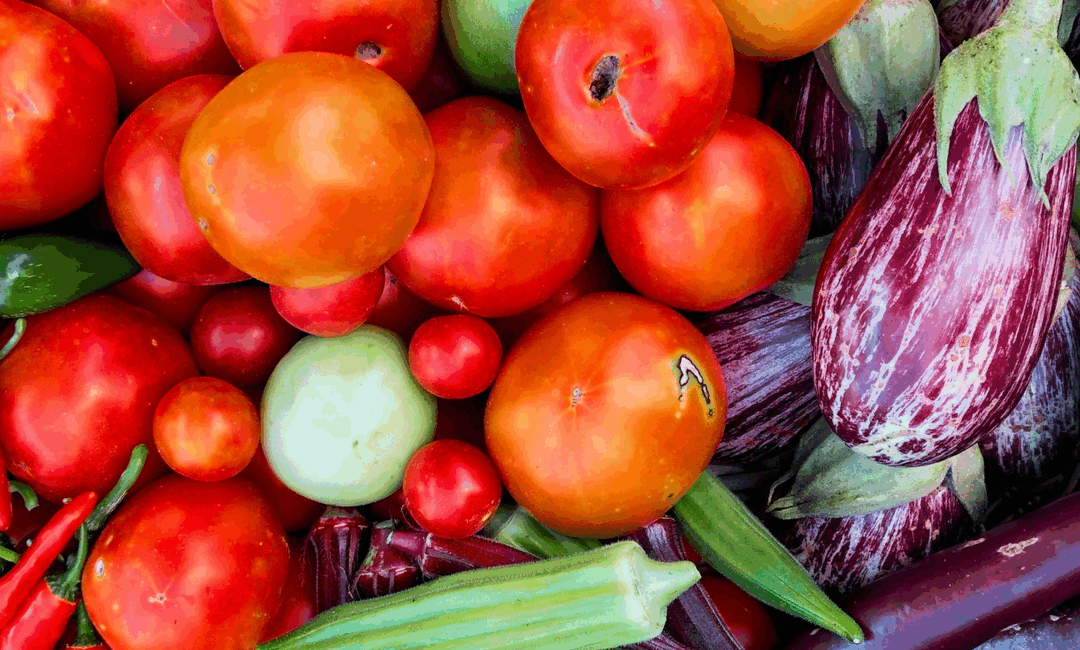 The Power of Produce through the Veggie Meter