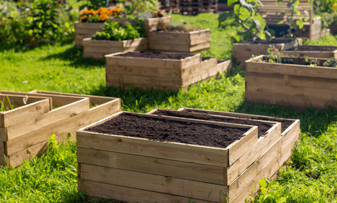 Fall Garden Maintenance Guide
