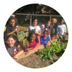 Two people building a garden box