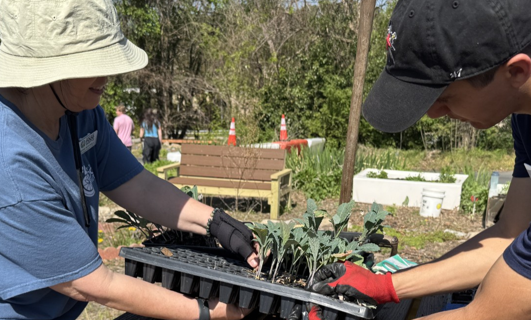 Celebrating our Volunteers this Global Volunteer Month