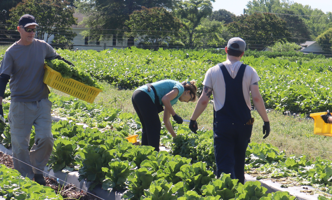 Growing Stronger Communities Returns in 2026 