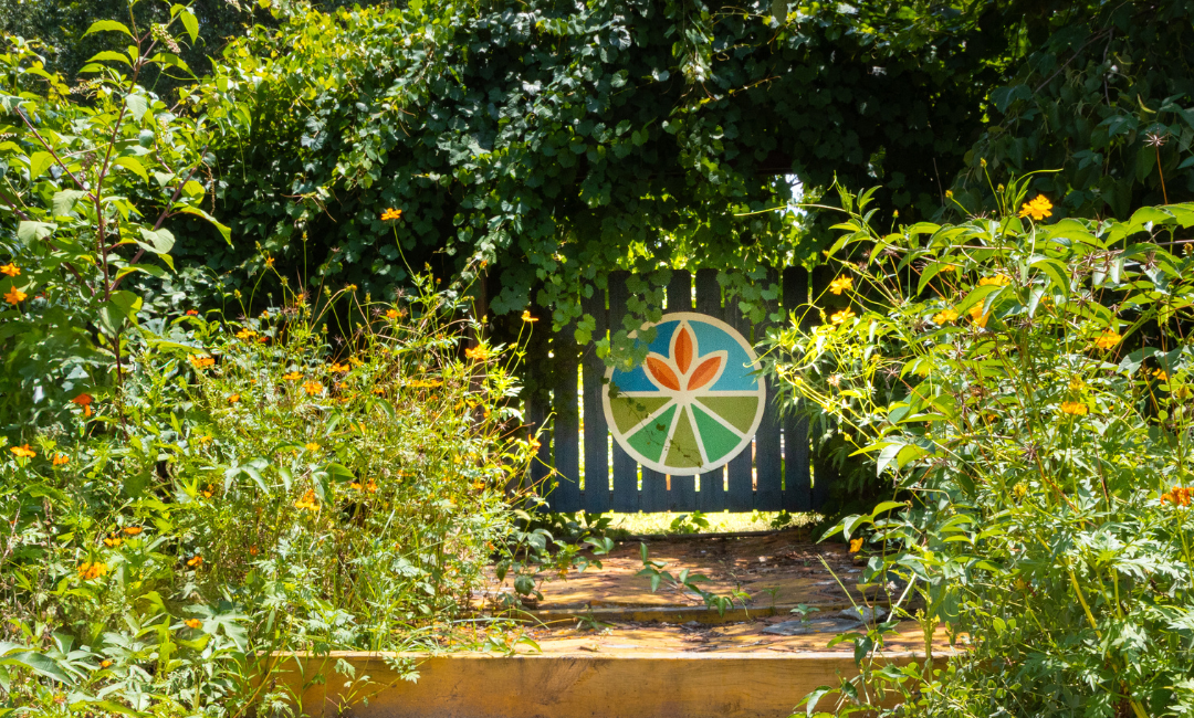 Reflecting on a Year of Impact